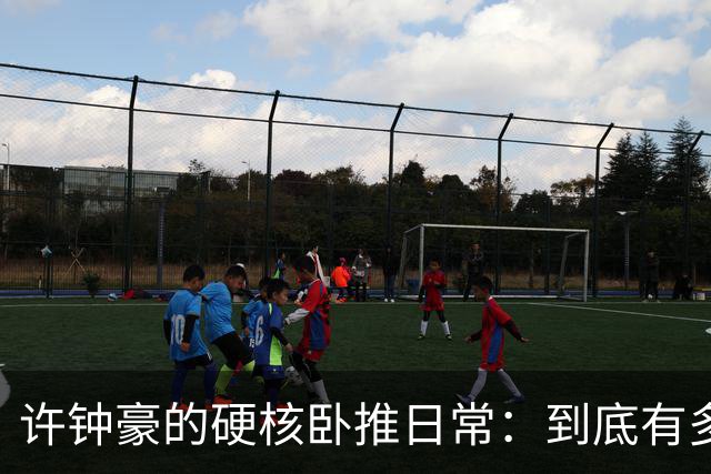 许钟豪的硬核卧推日常：到底有多“受保护”？